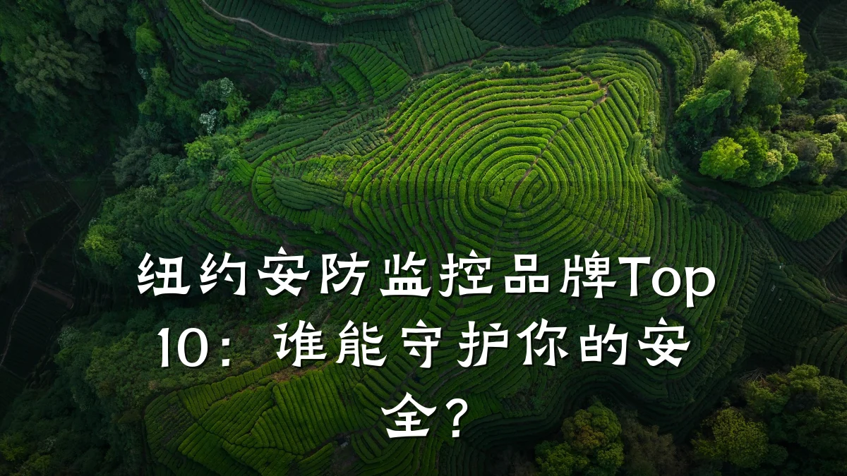 纽约安防监控品牌Top10：谁能守护你的安全？