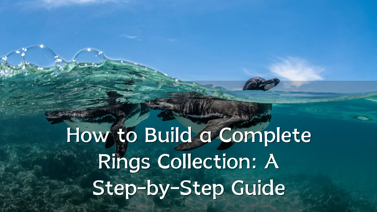 How to Build a Complete Rings Collection: A Step-by-Step Guide