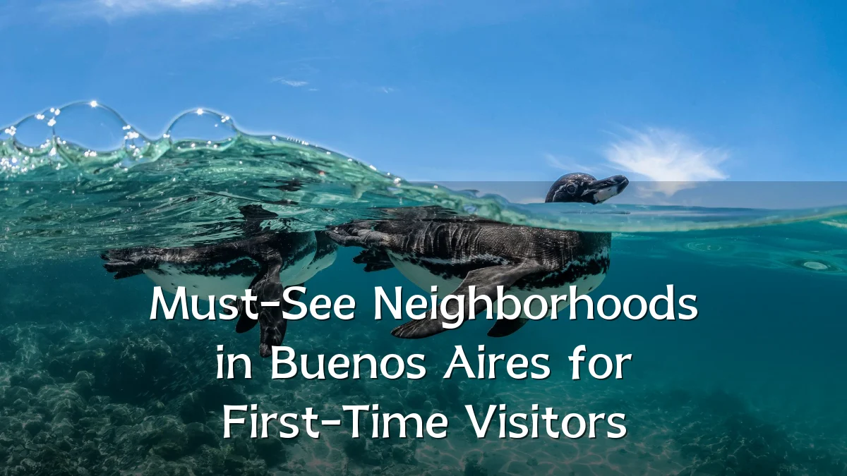 Must-See Neighborhoods in Buenos Aires for First-Time Visitors