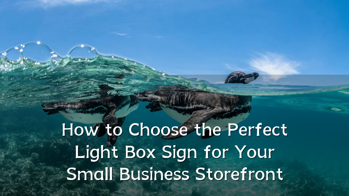 How to Choose the Perfect Light Box Sign for Your Small Business Storefront