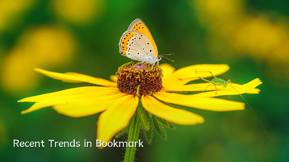 Recent Trends in Bookmark