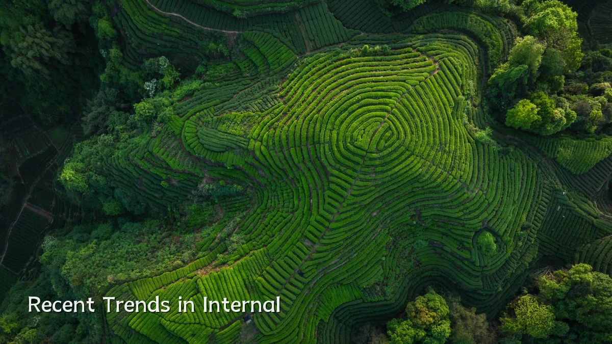 Recent Trends in Internal